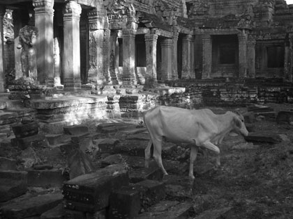 Stepping back in time at the sprawling Preah Khan