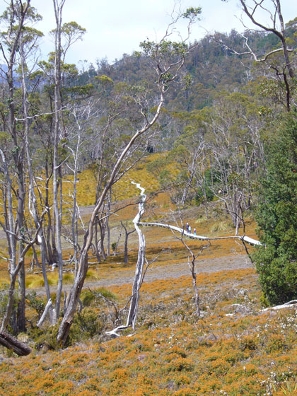 The easy rated walk.  Most of this 9km walk is on a raised boardwalk to minimise damage to this amazing place.